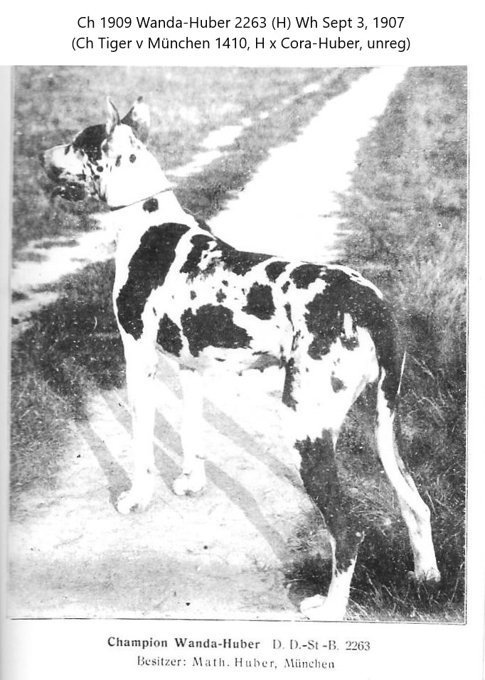 Wanda-Huber